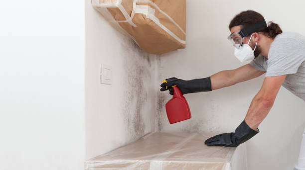 Professional Bathroom Mold Removal technician working in Plainview, TX